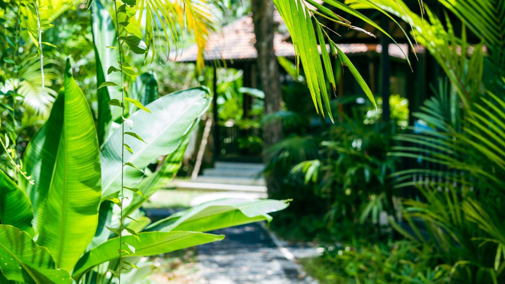 Onaya Bali Resort - Adults Only อูลูวาตู ภายนอก รูปภาพ